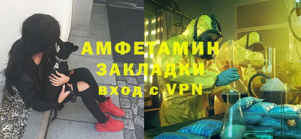 крисы Осинники