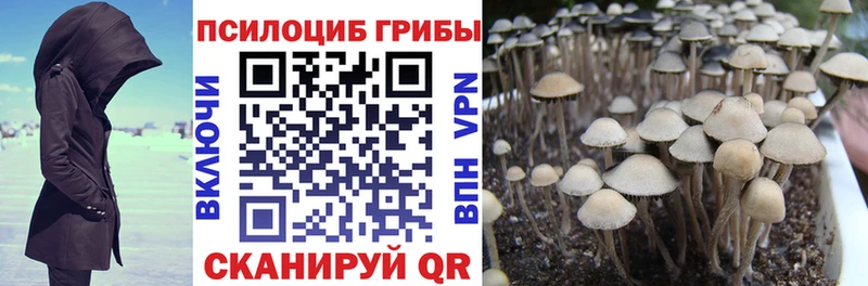 Псилоцибиновые грибы мухоморы kraken онион Братск
