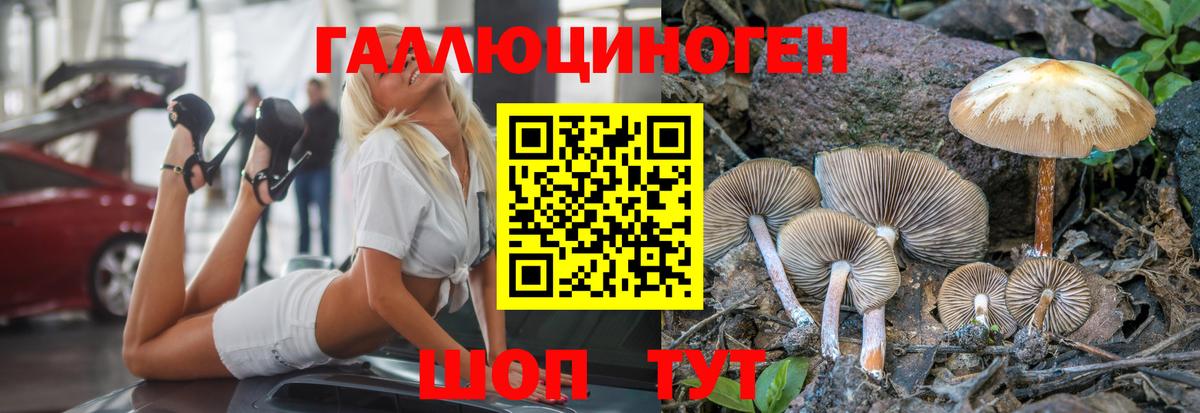 Галлюциногенные грибы Magic Shrooms Братск