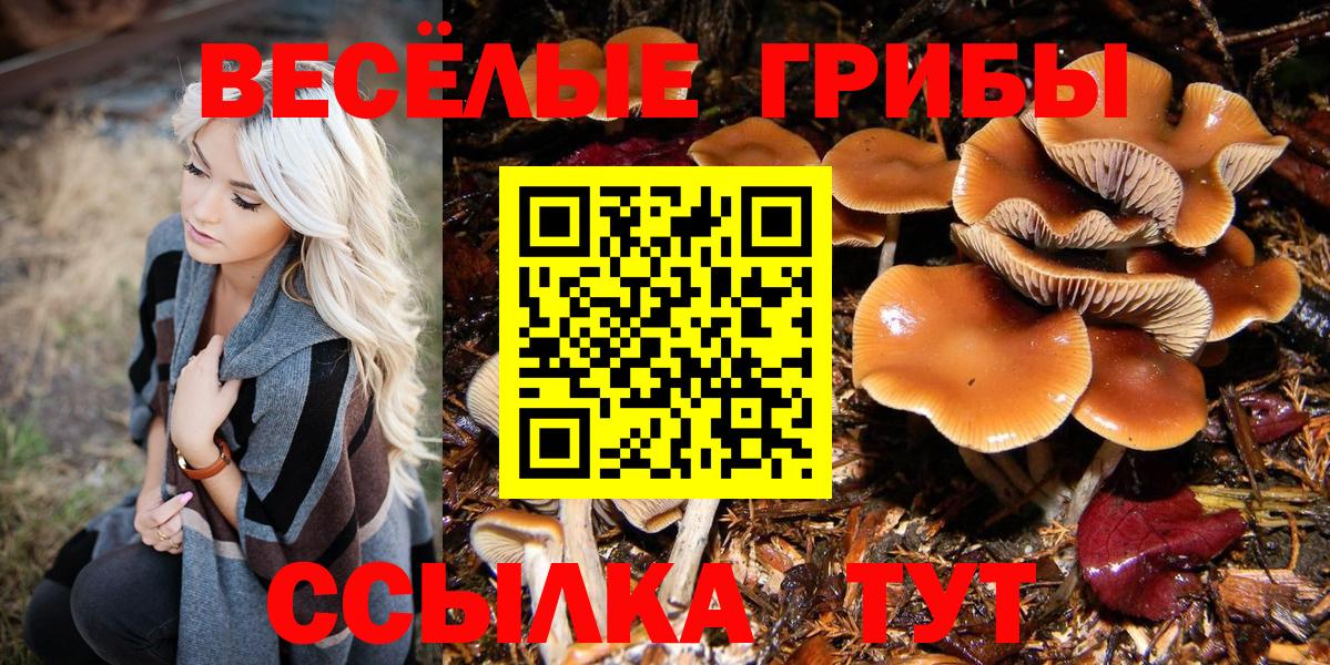 Братск  Псилоцибиновые грибы GOLDEN TEACHER  закладки  Вход с VPN 